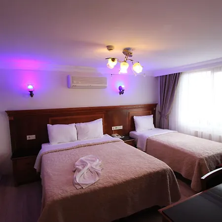 New House מלון 3*