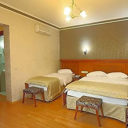 New House