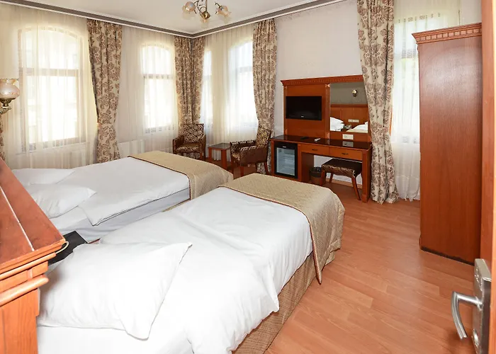 New House 3* イスタンブール