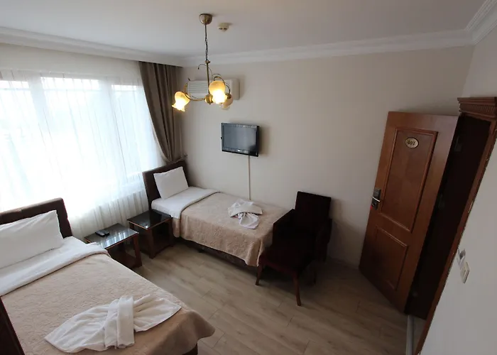 New House ホテル 3*