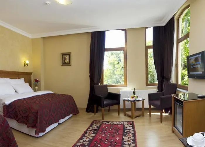 New House 3* イスタンブール